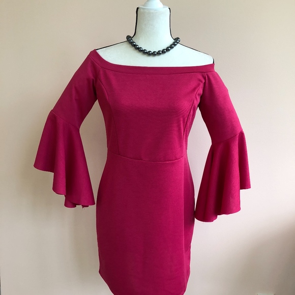 She and Sky Dresses & Skirts - SHE + SKY Hot Pink Fitted Bell Sleeve Dress L